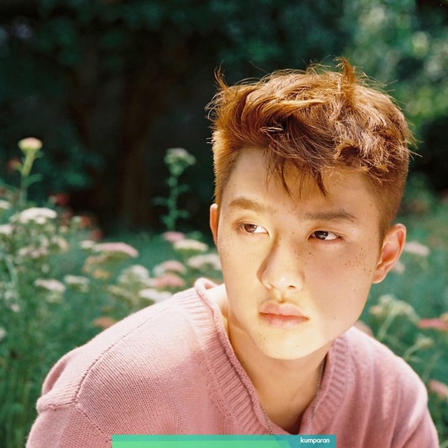 D.O EXO. Foto: SM Entertainment