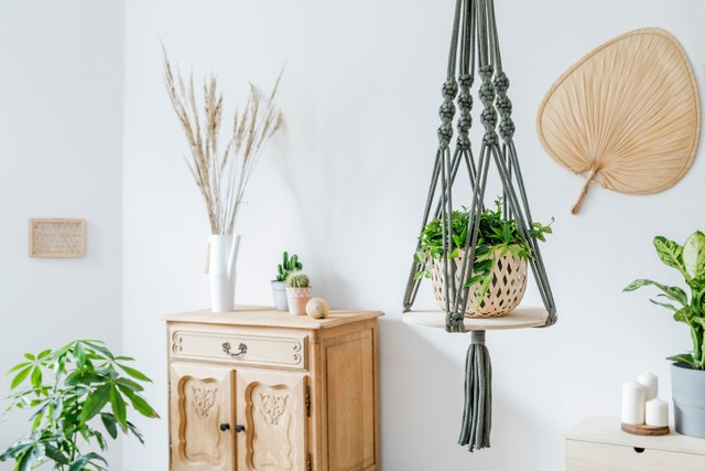 Tanaman gantung. Foto: Shutterstock