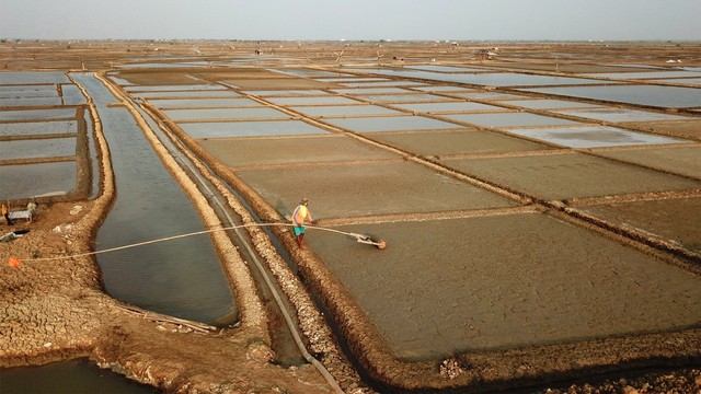 Warga menyiapkan lahan untuk area penggaraman. Foto: ANTARA FOTO/Dedhez Anggara