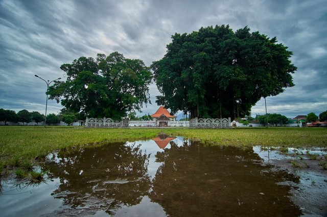 Pohon beringin untuk latihan Masangin di Alun-Alun Kidul, Yogyakarta Foto: Shutter Stock Foto: Shutter Stock