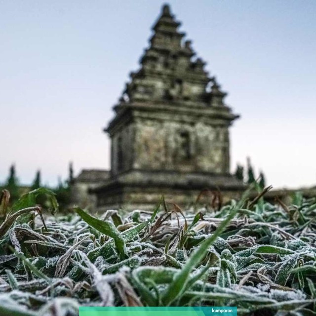 Embun beku yang muncul akibat penurunan suhu hingga minus tujuh derajat celcius menyelimuti kompleks Candi Arjuna, di dataran tinggi Dieng, Banjarnegara, Jawa Tengah, Selasa (25/6/2019). Foto: ANTARA FOTO/Idhad Zakaria