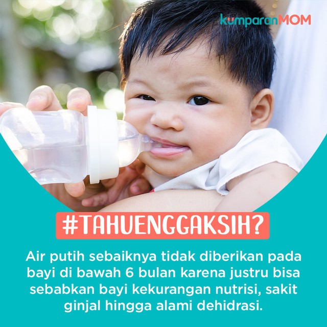 konten krispi - air putih berbahay untuk bayi Foto: Shutterstock