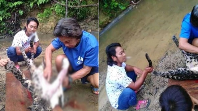 Viral foto warga menguliti macan dahan. (Foto: Facebook/Dewi Manjah)