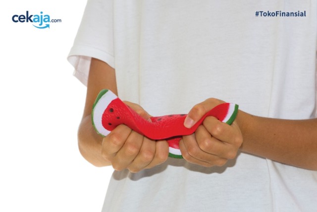 Yuk Kenal Lebih Dekat Dengan Squishy!