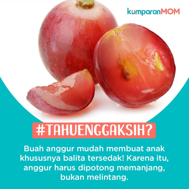 KRISPI - cara potong anggur Foto: Shutterstock