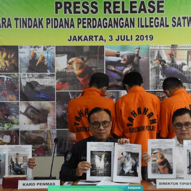 Karo Penmas Divisi Humas Polri Brigjen Pol Dedi Prasetyo (tengah) didampingi Direktur Tindak Pidana Tertentu (Tipidter) Bareskrim Polri Brigjen Pol Mohammad Fadil Imran (kanan) dan Direktur Pencegahan dan Pengamanan Hutan (PPH) Ditjen Gakkum KLHK Sustyo Iriyono (kiri) menunjukkan foto satwa dilindungi yang telah diamankan saat gelar kasus perdagangan ilegal satwa dilindungi di Gedung Bareskrim Polri, Jakarta, Rabu (2/7). Foto: ANTARA FOTO/Indrianto Eko Suwarso