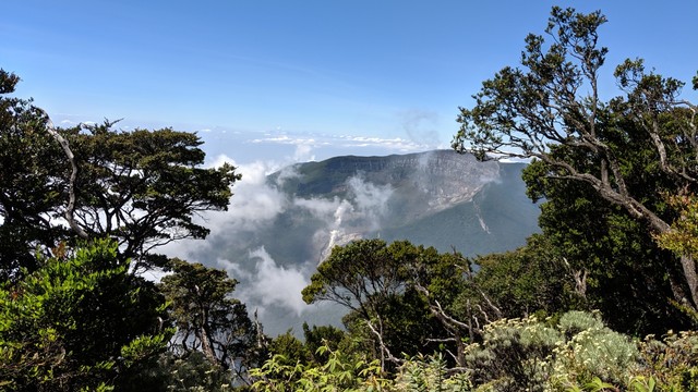kumparan Vekesyen ke Gunung Gede Pangrango. Foto: kumparan