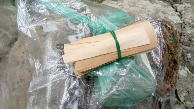 Daun aren untuk lintingan Hau Lalahe. Setelah melalui proses pengeringan, daun aren dipotong-potong, seperti ukuran kertas rokok, kemudian diisi tembakau untuk dinikmati. (Foto : istimewa)