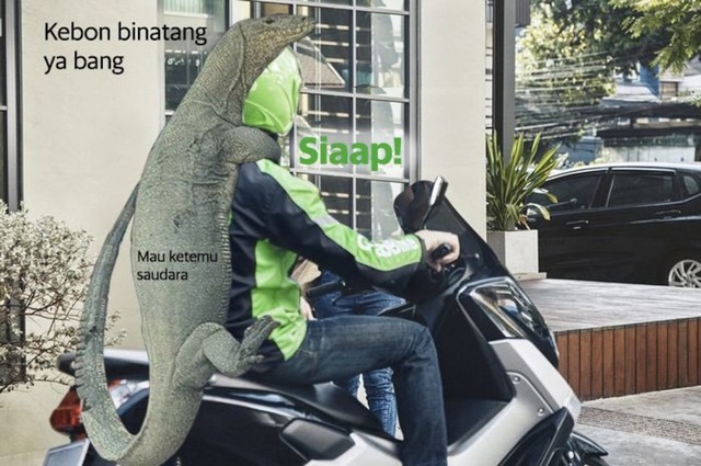 Foto biawak panjat pagar yang viral itu kemudian dibuat meme oleh warganet. (Foto: twitter @GrabID)