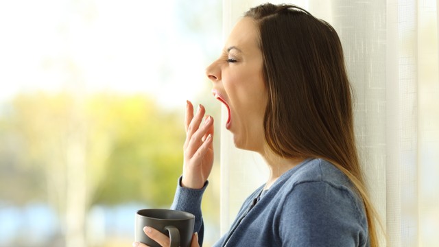 Ilustrasi. Foto: Shutter Stock