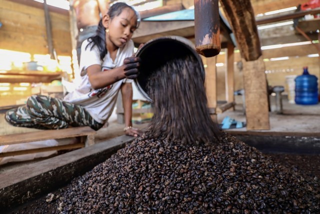 Mengolah bubuk kopi secara tradisional. Foto: Suparta/acehkini