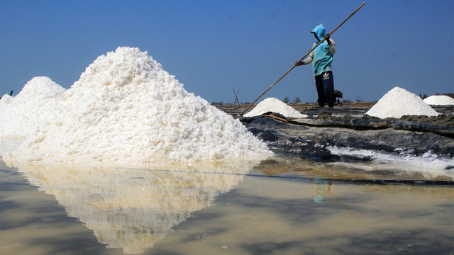 Petambak memanen garam di desa Tanjakan, Krangkeng, Indramayu. Foto: ANTARA FOTO/Dedhez Anggara