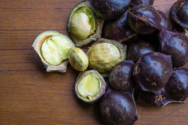 Ilustrasi Jengkol Foto: Shutterstock/Harys xu