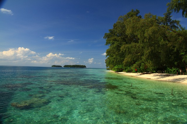 Ilustrasi Pulau. Foto: Shutterstock