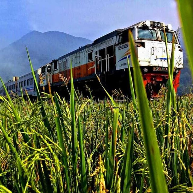 com-Ilustrasi kereta api Foto: Dok. Kementerian Pariwisata