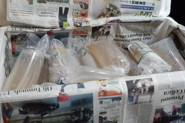 Benih lobster yang sudah terbungkus rapi yang disita Ditreskrimsus Polda Lampung, Jumat (12/7) | Foto: Obbie Fernando/Lampung Geh