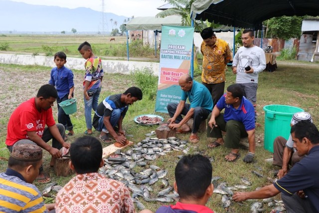 Warga Gampong Lambarih Jurong Raya membersihkan ikan yang dipanen dari tiga petak kolam, Minggu (14/7). Foto: Dok. Baitul Mal Aceh