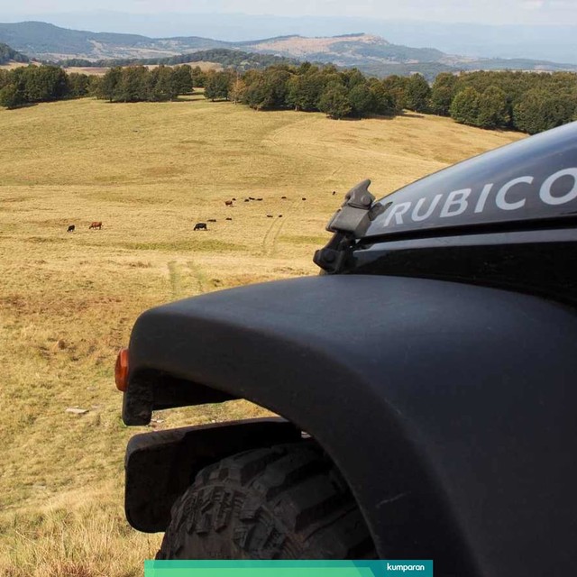 Ilustrasi Mobil Jeep Rubicon. Foto: Pixabay
