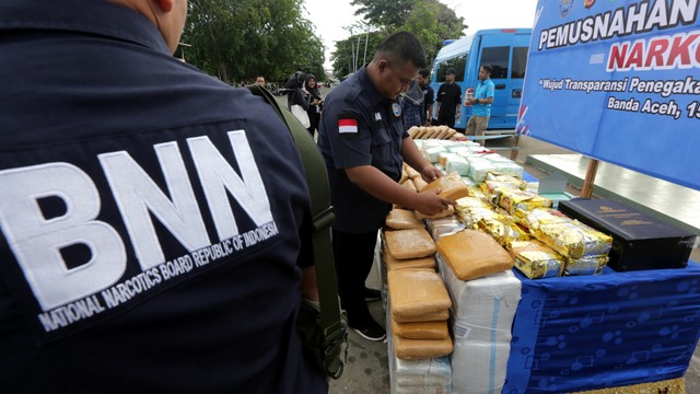 Ilustrasi BNN. Foto: ANTARA FOTO / Irwansyah Putra