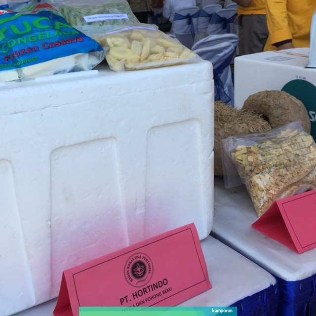 Porang dan berbagai hasil olahannya hasil produksi di wilayah Jawa Timur, dipamerkan di sebuah acara. Foto: Yuana Fatwalloh/kumparan
