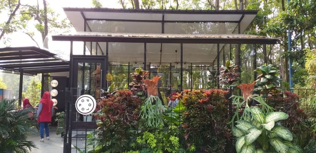 Suasana Popolo Coffee Foto: Safira Maharani/ kumparan