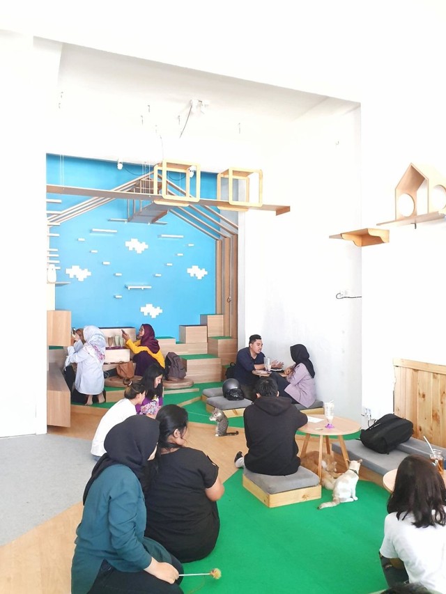 Pengunjung sangat antusias bermain dengan kucing - By @eattemptationsby