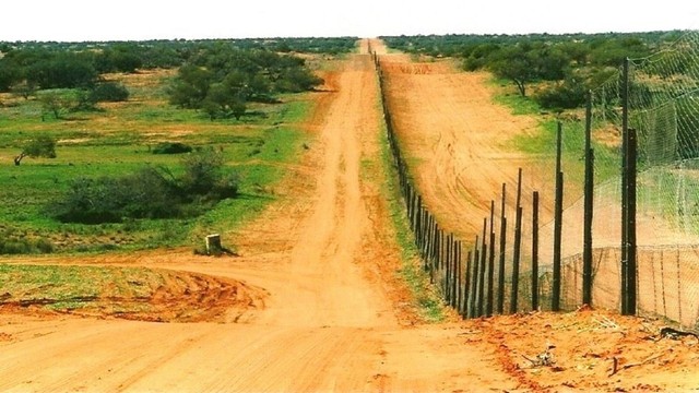 Foto: commons.wikimedia.org