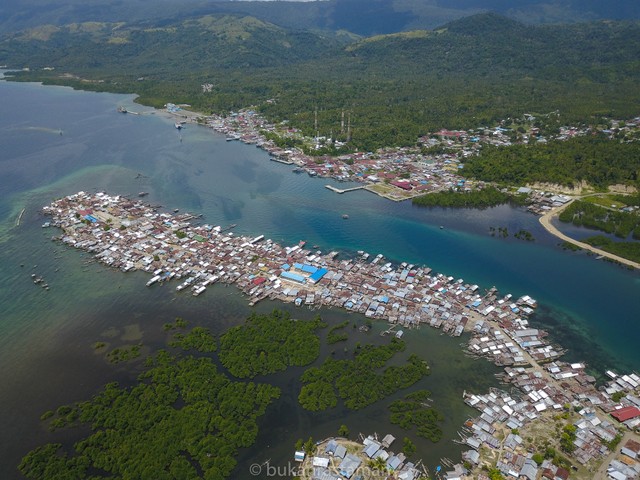 Desa Jayabakti dari udara