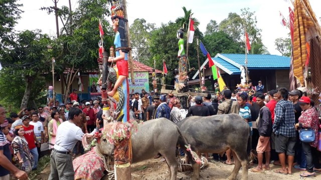 Warga Dayak di Tumbang Miri menyiapkan hewan kurban yang akan ditombak pada Sabtu (20/7/2019). Foto: Riski Syahbandi/banjarhits.id