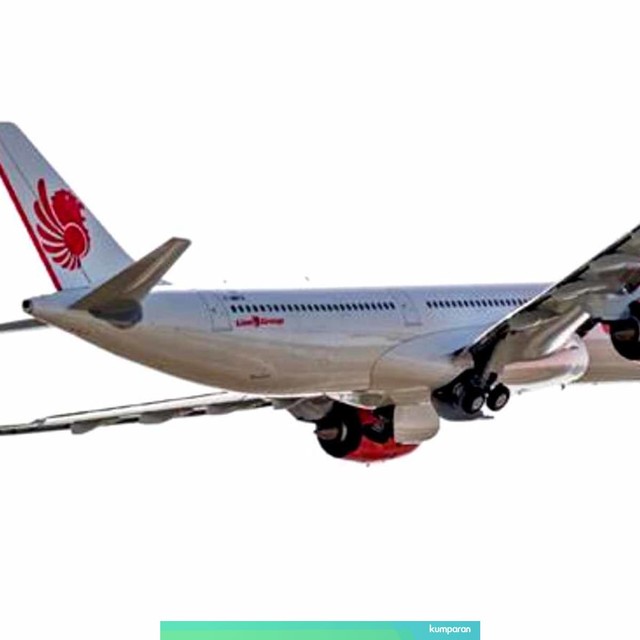 Pesawat pertama Airbus A330-900 NEO pesanan Lion Air tiba di Bandara Soekarno-Hatta. Foto: Dok. Lion Air