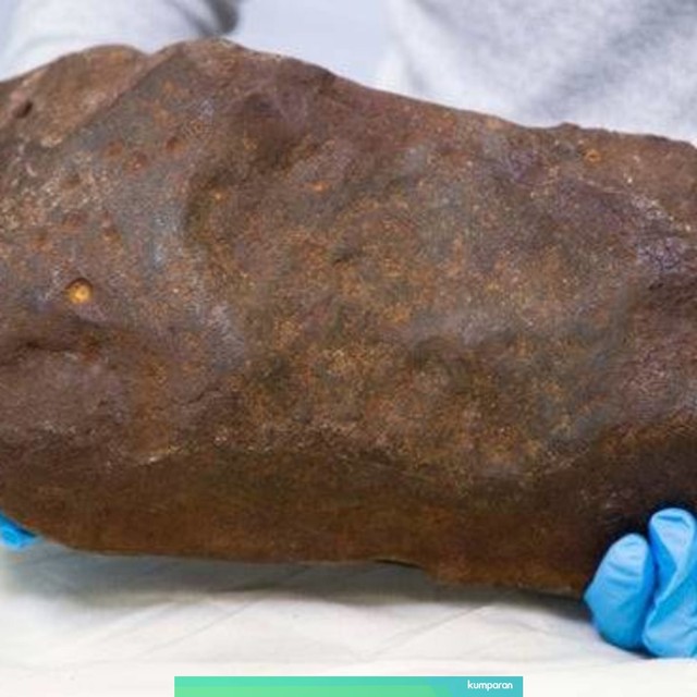 Batu meteorit berusia 4,6 miliar tahun, ukurannya 38,5 cm x 14,5 cm x 14,5 cm. Foto: Museums Victoria