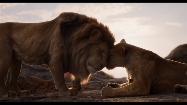 Mufasa's love for Sarabi