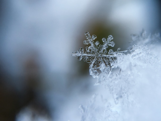 Ilustrasi salju. Foto: Unsplash/@aaronburden