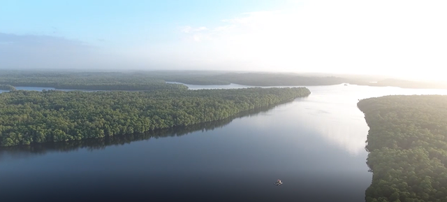 Hutang Mangrove di Desa Lorang. Dok: Mika Ganobal 