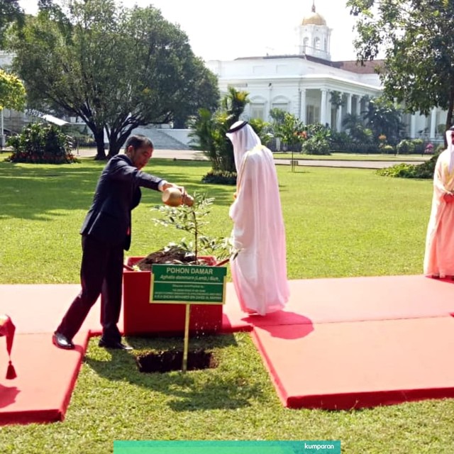 Presiden Joko Widodo dan Putra Mahkota UEA menanam Pohon Damar di sekitara Halaman Istana Kepresidenan Bogor, Jawa Barat, Rabu (24/7). Foto: Fahrian Saleh/kumparan
