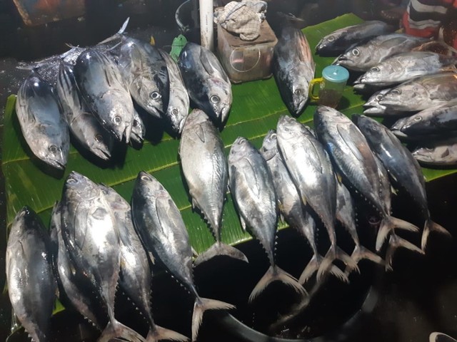 Sejumlah ikan yang dijual di Pasar Arumbai, Mardika Ambon. (Foto: Doc.ambonnesia)