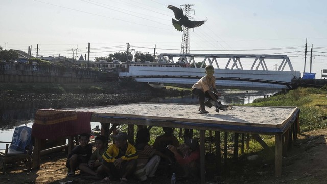 Seorang anak melatih burung dara balap miliknya di Jakarta, Rabu (24/7). Foto: ANTARA FOTO/Muhammad Adimaja