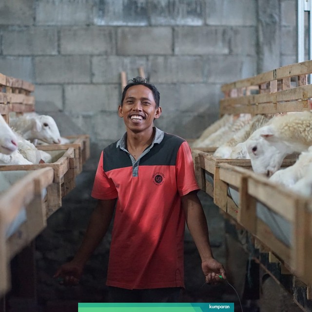com-Peternak hewan kurban. Foto: Dok. Dompet Dhuafa