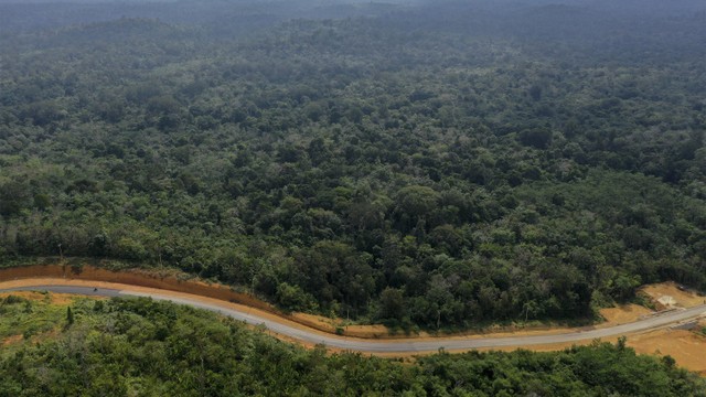 Foto udara kawasan Bukit Nyuling, Tumbang Talaken Manuhing, Gunung Mas, Kalimantan Tengah. Foto: ANTARA FOTO/Hafidz Mubarak A