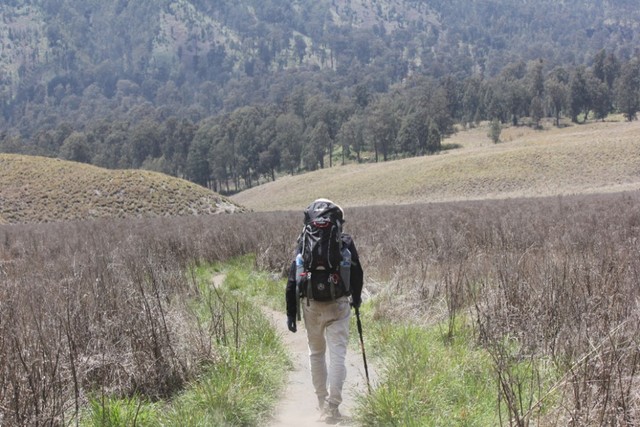 com-Ilustrasi seseorang mendaki gunung Foto: Shutterstock