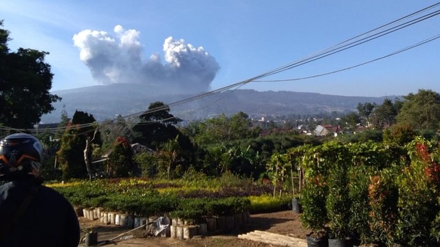 Tangkuban Parahu erupsi. Foto: Dok: istimewa