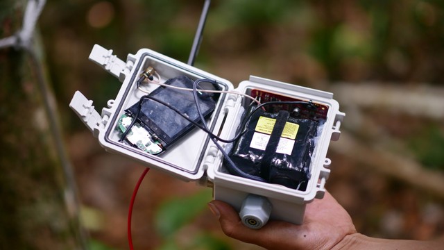 Alat “The Guardian” berteknologi Google AI. Foto: Dok. Google