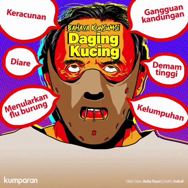 Bahaya Konsumsi Daging Kucing. Foto: Indra Fauzi & Anggoro Fajar/ kumparan.