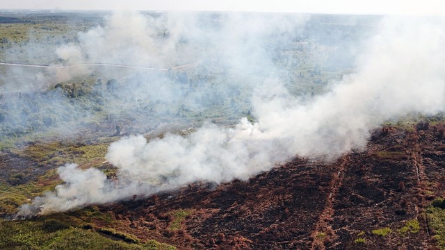 Foto udara kebakaran hutan dan lahan di kawasan Ketapang Tanjungpura Km 4 di Desa Sungai Awan Kiri, Kecamatan Muara Pawan, Kabupaten Ketapang, Kalimantan Barat, Selasa (30/7). Foto: ANTARA FOTO/HO/Heribertus