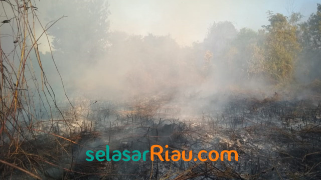 Kondisi lahan yang hangus terbakar. 