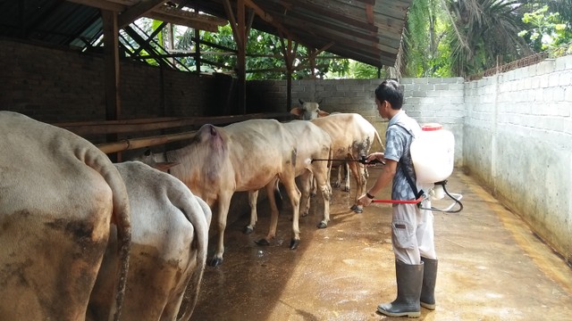 Sumber foto: Edorivalda Pane