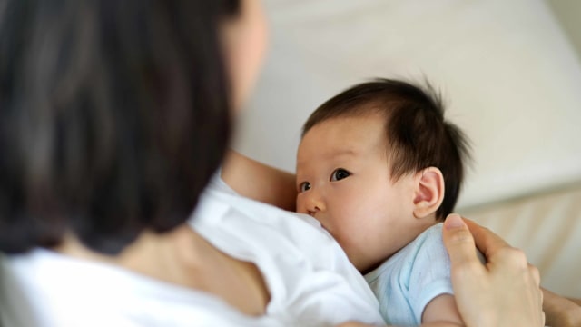 Ilustrasi ibu menyusui. Foto: Shutter Stock