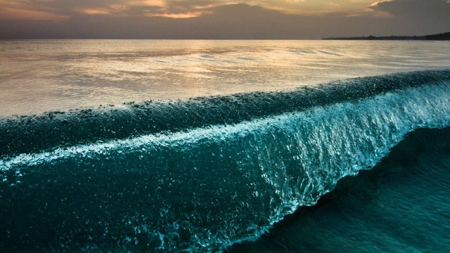 Ilustrasi tsunami. Foto: Getty Images