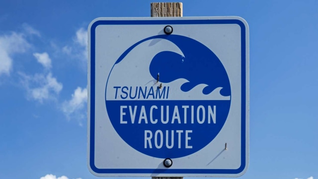 Ilustrasi tsunami. Foto: Getty Images