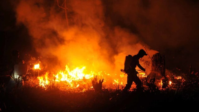 Petugas berupaya memadamkan api yang membakar lahan di daerah perbatasan Sumatera Selatan (Sumsel)-Jambi, Muara Bahar, Bayung Lencir, Musi Banyuasin, Sumsel, Jumat (2/8). Foto: ANTARA FOTO/Wahdi Septiawan